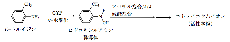 解説画像
